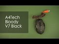 Мышка A4Tech Bloody V7 Black USB - видео
