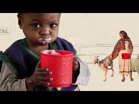 Global Programme for the Control & Eradication of Pest des petits ruminants (Sheep & Goat Plague)