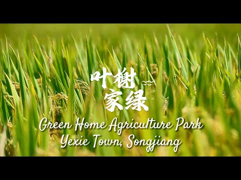 Green Home Agriculture Park, um resort familiar é inaugurado