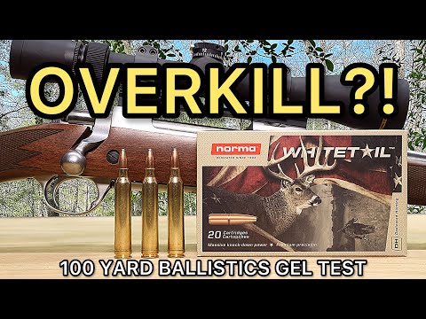 300 Winchester Magnum Norma Whitetail Ballistics Gel Munitionstest