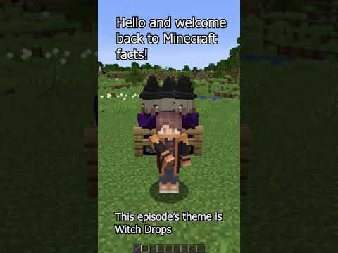 Thegameplayer69 - Minecraft Facts #99 - Witch Drops