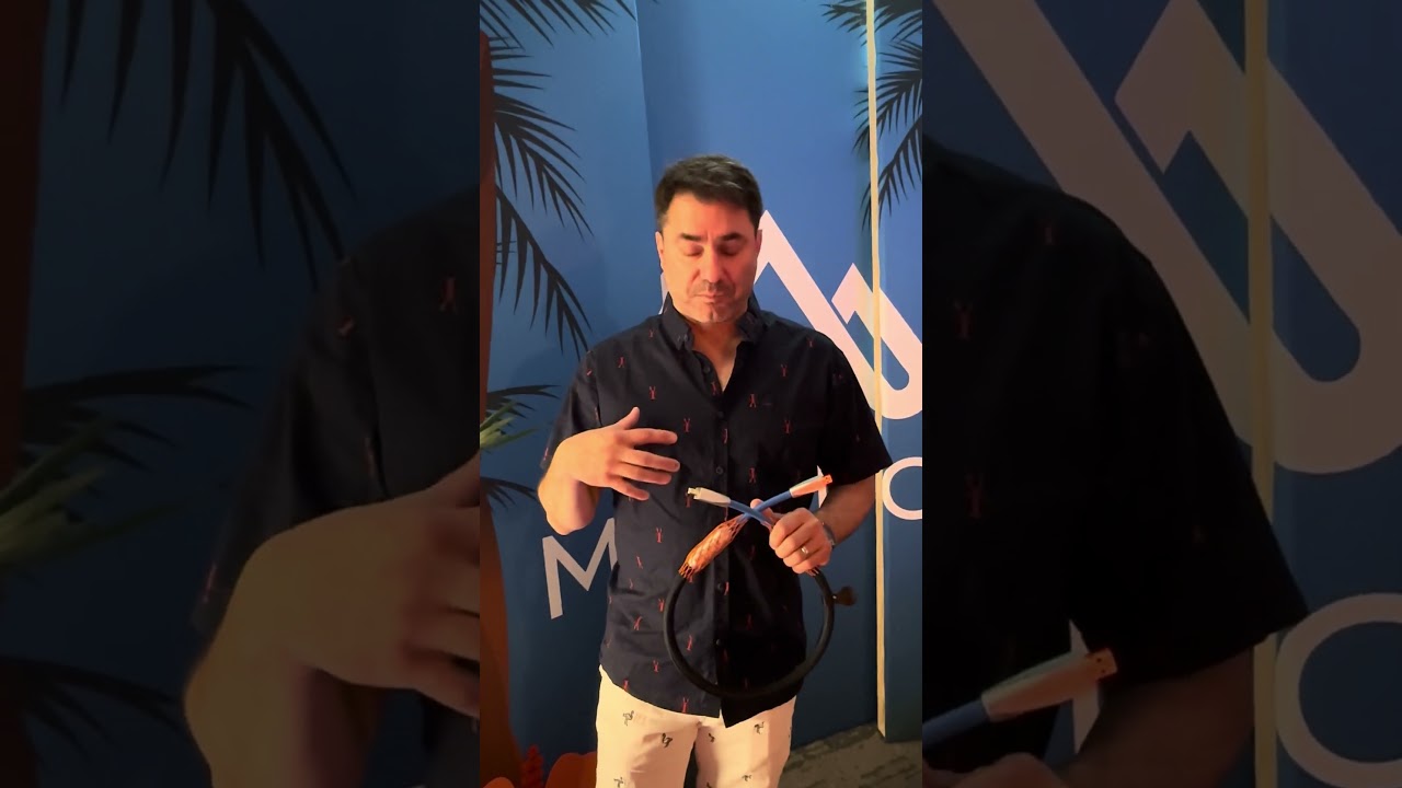 Silltech 880 Series cables/ The Voice That Is