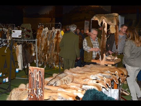 Fellmarkt Sursee 2019