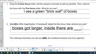 Cell Types Gizmo Intro