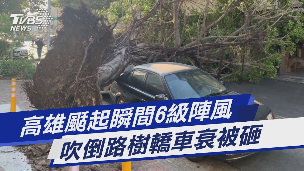 影/高雄颳強風「達輕颱等級」 樹倒砸車、工地圍籬也吹翻