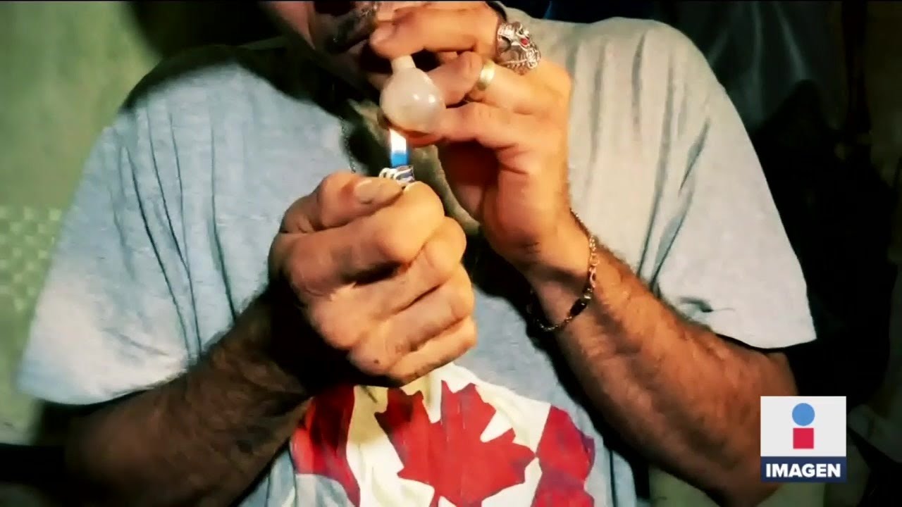 El cristal, el método para olvidar la realidad | Noticias con Ciro Gómez Leyva