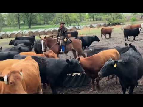 Bulk Barbie sells Cowgirl Cadillac sale June 13-14