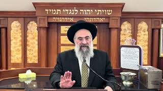 אמירה לגוי בפסיק רישא ופתיחת מקרר (הרב יצחק ישראלי) - התמונה מוצגת ישירות מתוך אתר האינטרנט יוטיוב. זכויות היוצרים בתמונה שייכות ליוצרה. קישור קרדיט למקור התוכן נמצא בתוך דף הסרטון