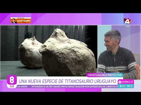 Descubrieron una nueva especie de dinosaurio uruguayo