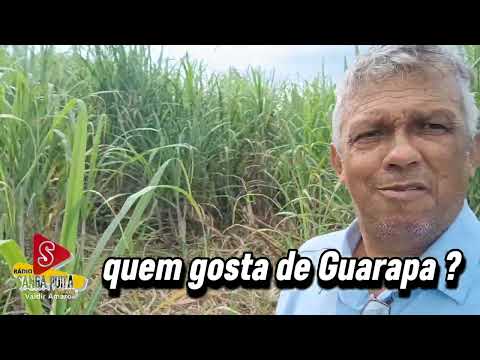 Fazenda da Tuka