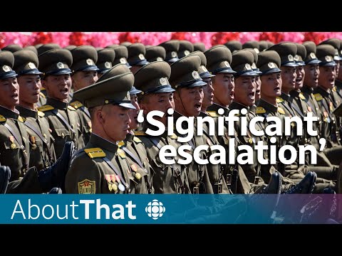 Could North and South Korea enter the Russia-Ukraine war? | About That
