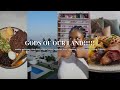 Jesus Rose So Did My Gizzards Weekly Vlog