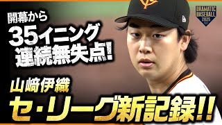 明石出身のプロ野球選手　山崎伊織