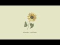 Lukrembo Sunflower Royalty Free Vlog Music