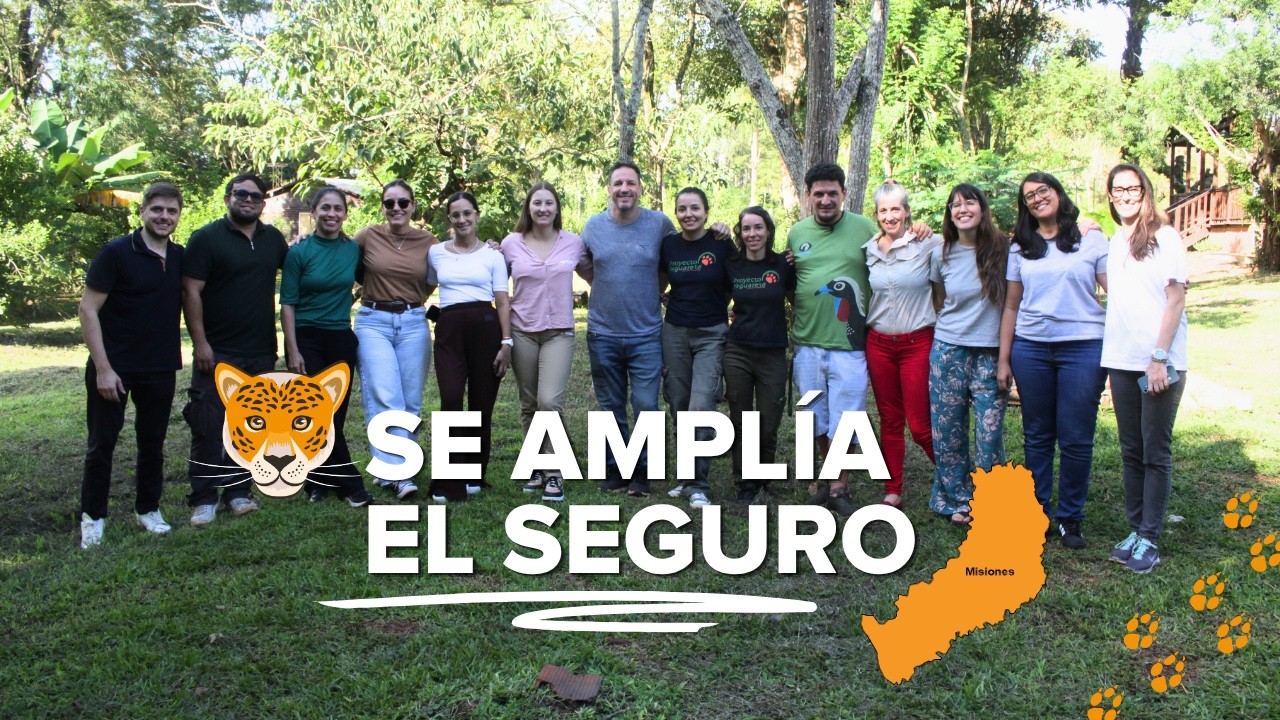 Día de la Biodiversidad: se amplía el Seguro de Protección al Yaguareté en Misiones