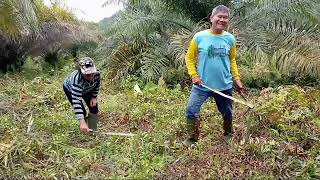 Download lagu LAGU DAYAK DESA KUNYIL - TOKLAH CERITA IDUPKU mp3