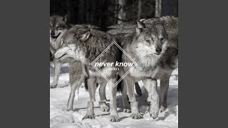 Never Know (Few Wolves VIP Remix)