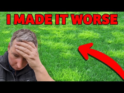 DONT DO THIS if you want to get rid of WEED GRASS
