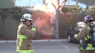 High Voltage FAIL! Wire Down!! Tree boils from inside out...and SB Fire Dept. can only watch!- in 4K