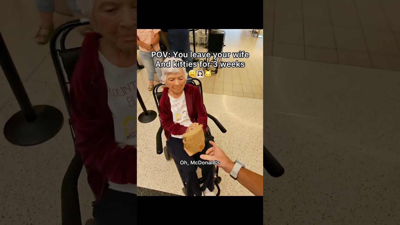 This is so sad but I have a lot of very fun things planned for this trip 👍❤️#pov #travel #cats