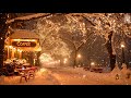 Exquisite Jazz On Quiet Winter Night Gentle Snowfall Outside Coffee Shop For A Peaceful Mood