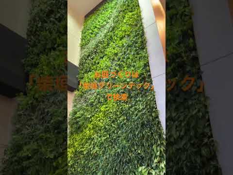 植物は光がなくても生きていけますか