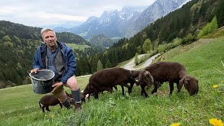 "El país de los agricultores felices": Por qué la hierba parece más verde en Austria