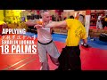 Form and Function: Shaolin Luohan 18 Palms