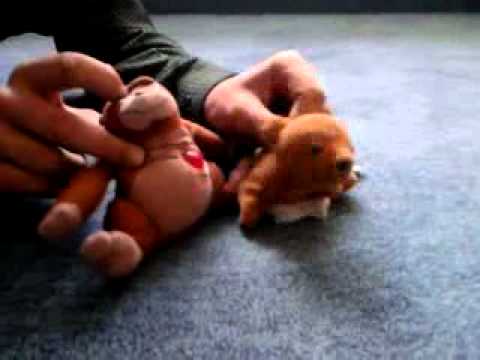 Xatar feat Azad - Baba aller Babas (covered by Tayo&Tnoti)