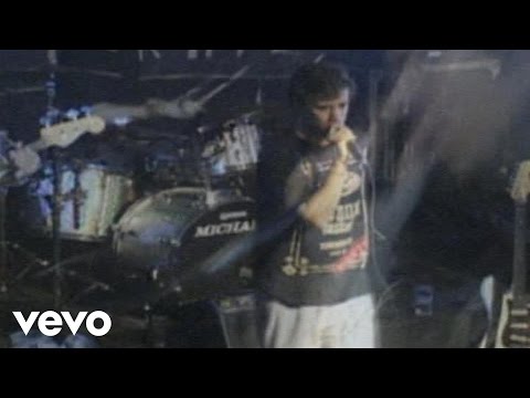 Planta E Raiz - Te Ver