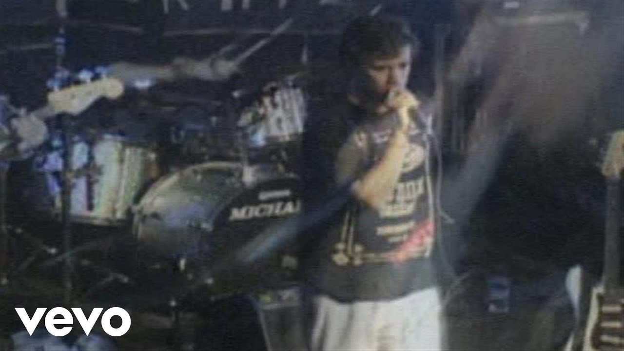 Planta E Raiz - Te Ver