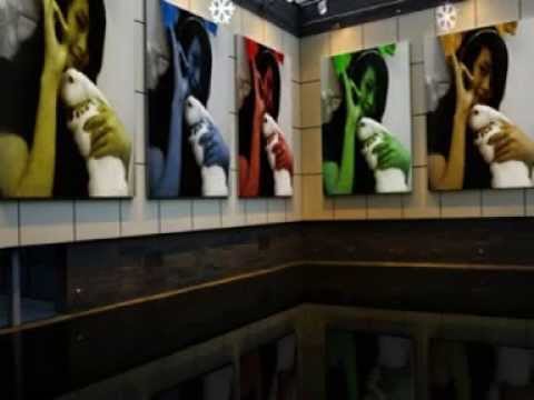 Zay Zay အလြမ္းဒဏ္ရာ Alwan Dan Yar MTV - main actor- Nicky