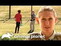 Most Suspenseful Arrest & Rescue Moments | Lone Star Law | Animal Planet