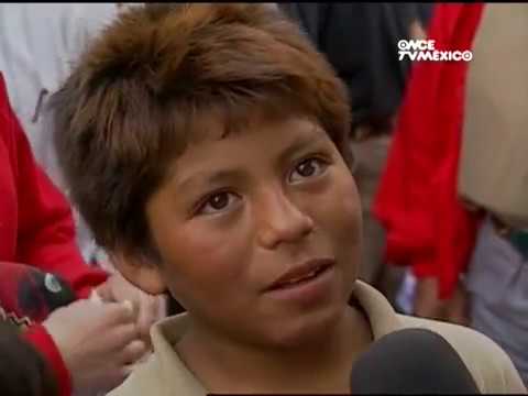 1996 - He also speaks of the rose (José Alberto)