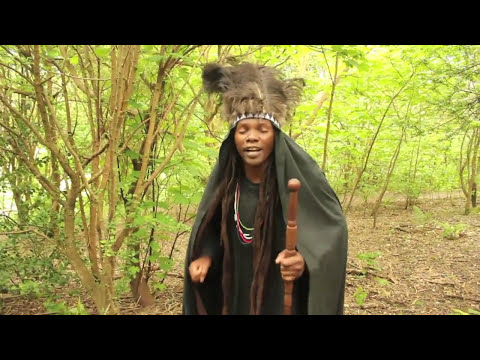 Linos Wengara Magaya - Unofa Uchitambura - Zimbaremabwe, Zimbabwean Mbira Music (2014)