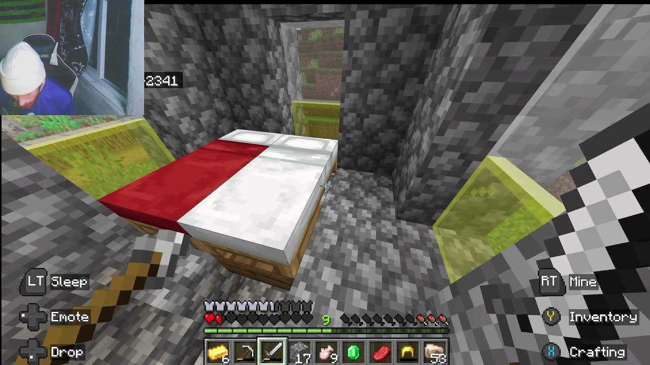 Minecraft with gf on D1 SMP