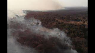 Amazon wildfires now an 'international crisis' - VIDEO
