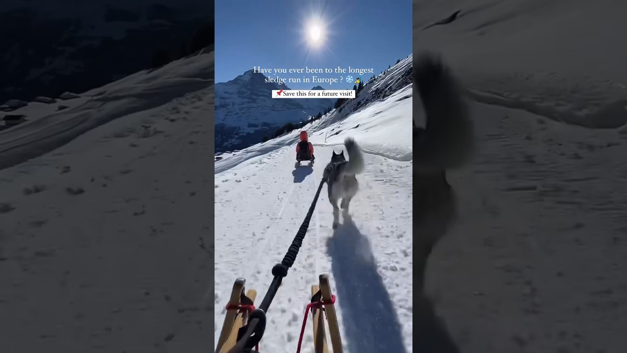 YouTube Short thumbnail