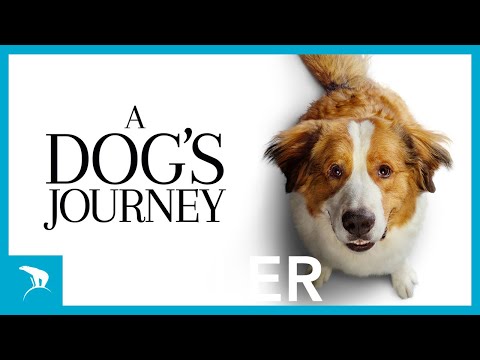 A Dog's Journey | Officiell trailer