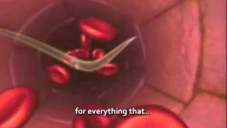 Ahmed Bukhatir - Ya Man Yara - Oh who see (English Subtitles)