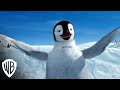 Happy Feet 15th Anniversary Warner Bros Entertainment