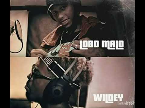 Wildey ft lobo malo el perdedor