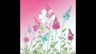 The Renaissance Woman  ...  Bach and Digital Drawings