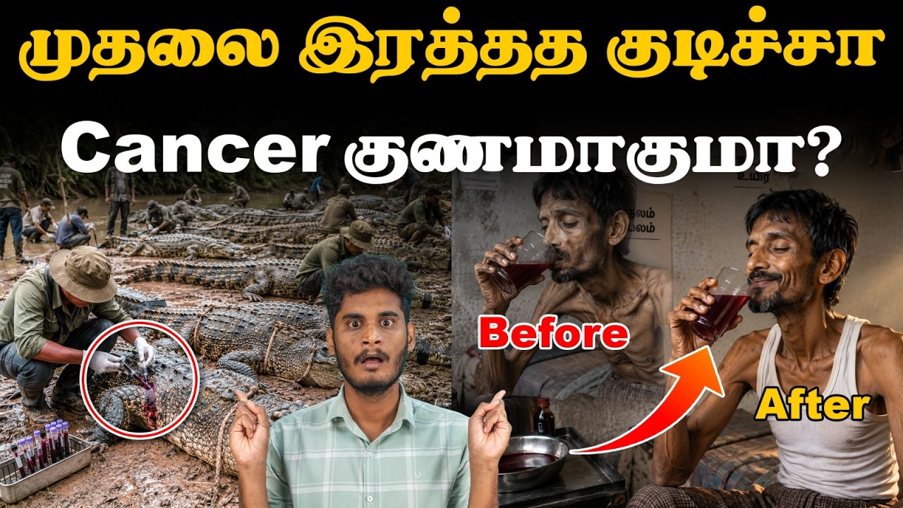 முதலைக்கு இவ்வளவு சக்தியா?? | How crocodile live longer ?| is crocodile immortal| Interesting 