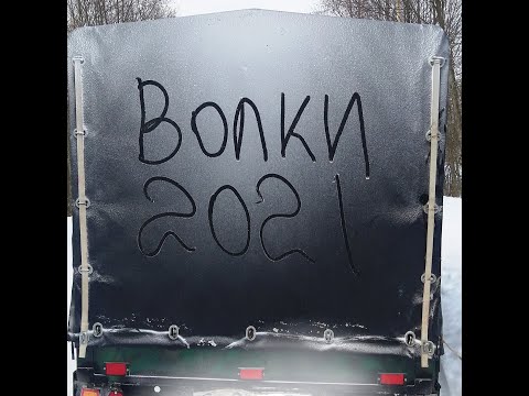 Охота на волков 2 02 21