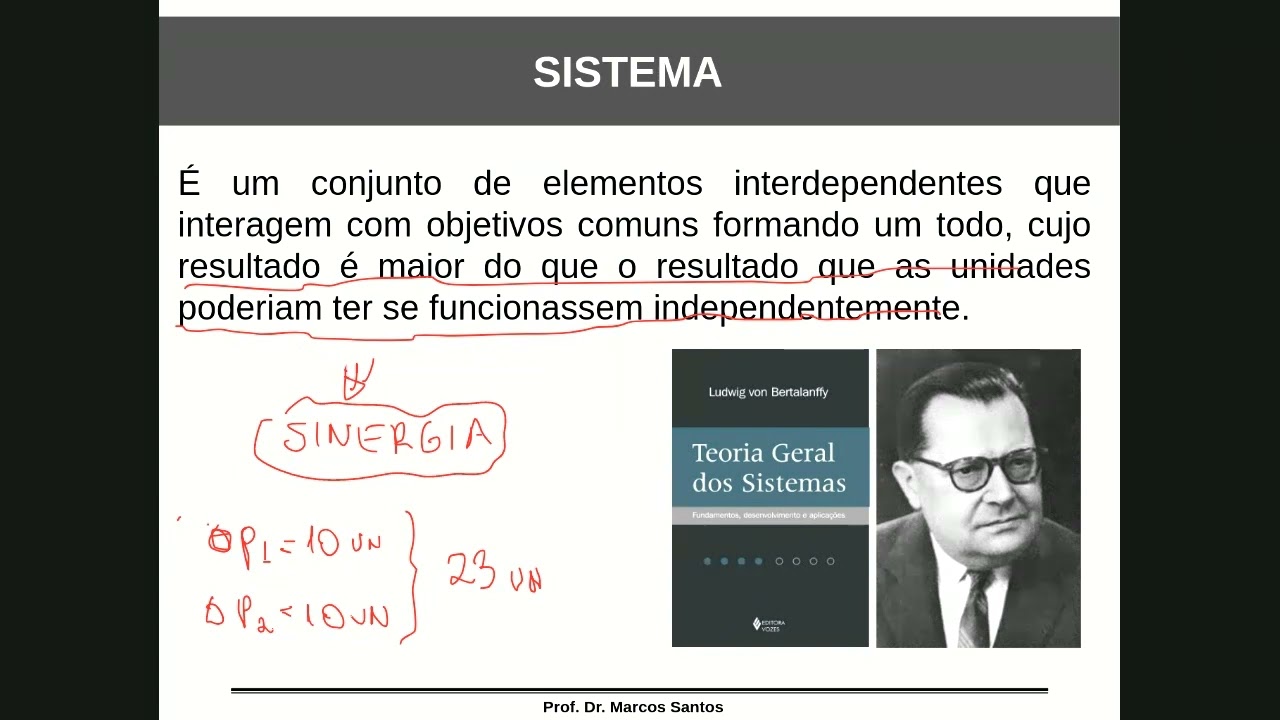 Teoria Geral dos Sistemas de Ludwig von Bertalanffy