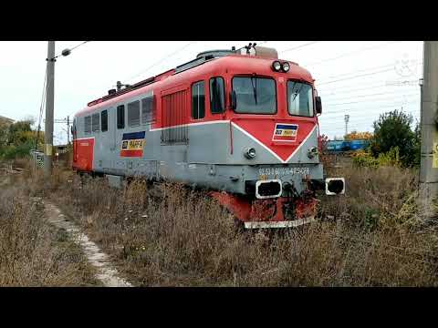 "REGINA" DA 1016 merge la odihna  dupa o zi de munca.