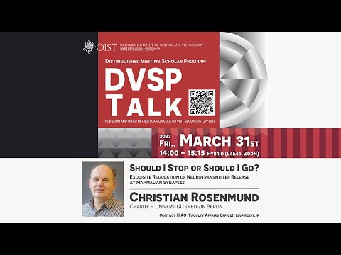 Christian Rosenmund - Should I Stop or Should I Go? (DVSP Talk at OIST)
