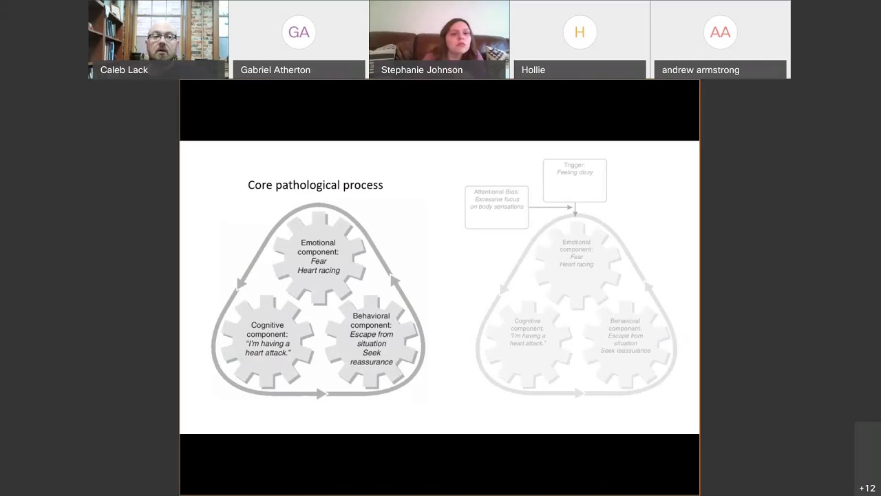 Cognitive-Behavioral Therapy Case Formulation for Youth - part 2