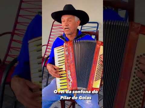 Sanfoneiro de Pilar de Goiás